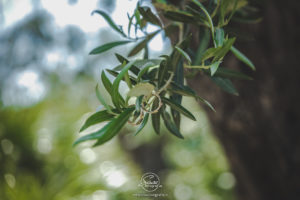 Sisca Fotografie, fotografo di matrimonio in stile reportage in Calabria a Crotone, Catanzaro, Cosenza, Lamezia Terme, Vibo Valentia, Le Castella, Capo Rizzuto